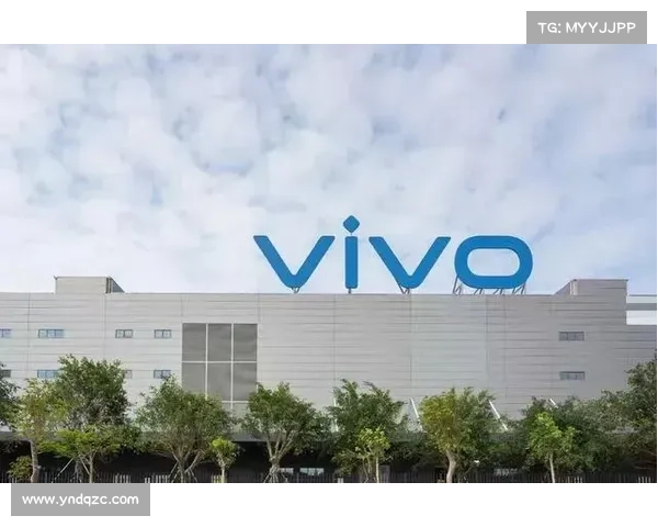 2025年国际赛事一览表(2023年全球瞩目国际赛事大盘点年度盛事全解析)