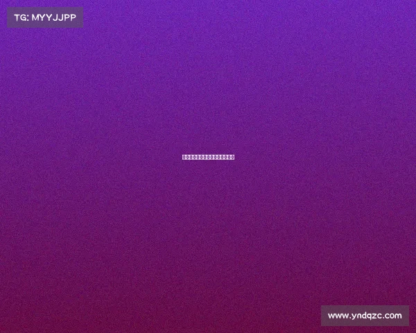 排球赛事法语词汇与实战应用指南 排球赛事法语词汇与实战应用指南