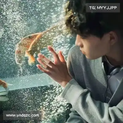 彭宇旻