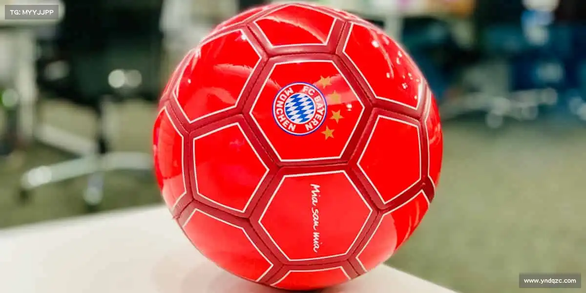 人生就是搏中国官网bkl8——拳力以赴！释放压力，格斗课程点燃你的斗志🔥